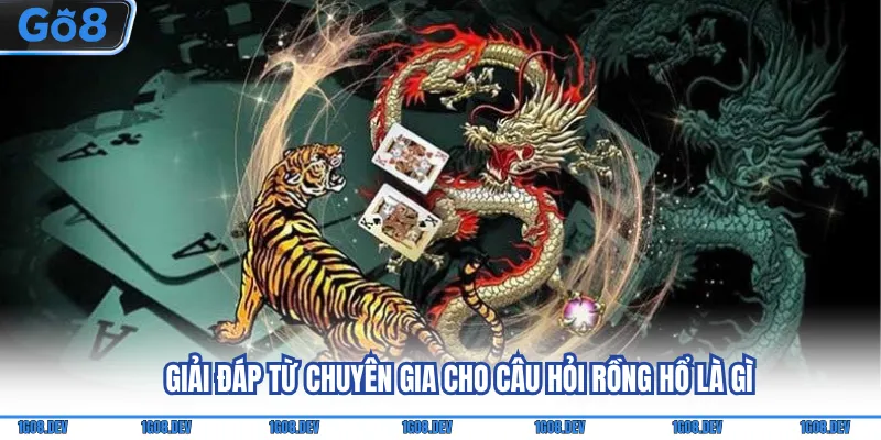 Giải đáp từ chuyên gia cho câu hỏi Rồng Hổ là gì